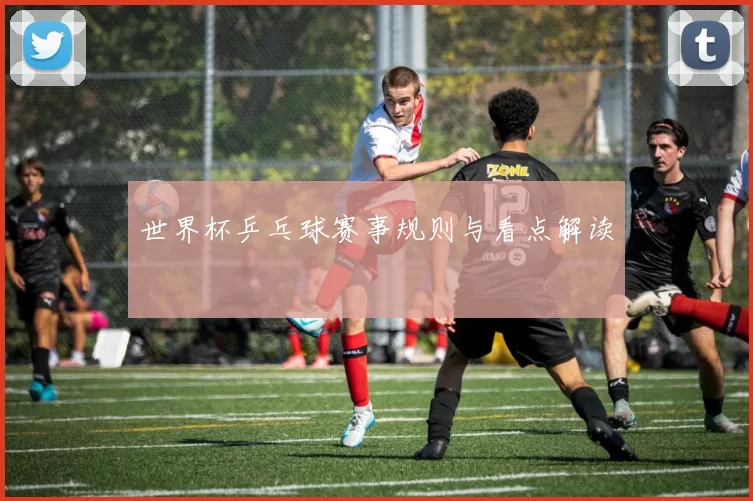 世界杯乒乓球赛事规则与看点解读