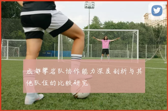 成都攀岩队协作能力深度剖析与其他队伍的比较研究