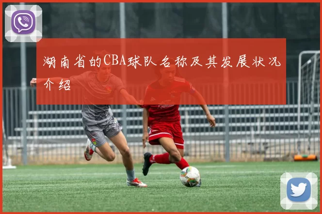 湖南省的CBA球队名称及其发展状况介绍