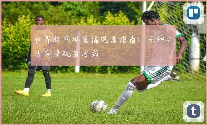 世界杯网络直播观看指南：五种合法高清观看方式