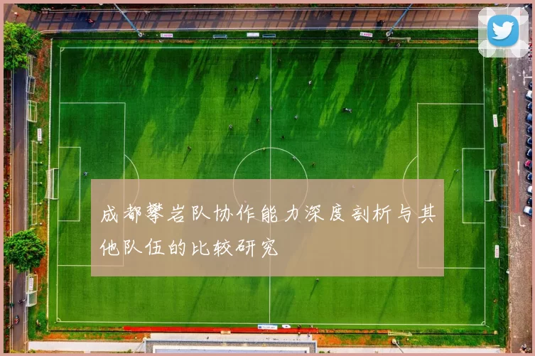 成都攀岩队协作能力深度剖析与其他队伍的比较研究