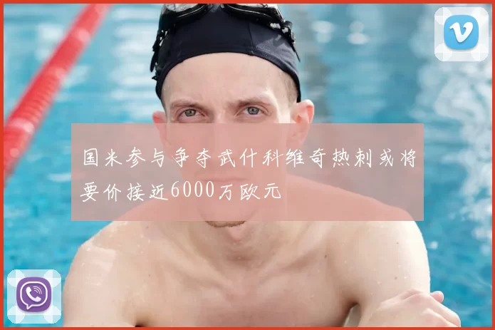 国米参与争夺武什科维奇热刺或将要价接近6000万欧元