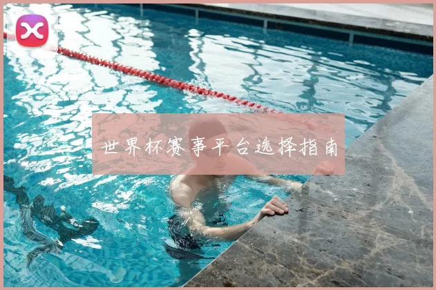 世界杯赛事平台选择指南