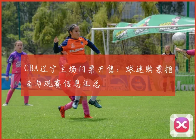 CBA辽宁主场门票开售，球迷购票指南与观赛信息汇总