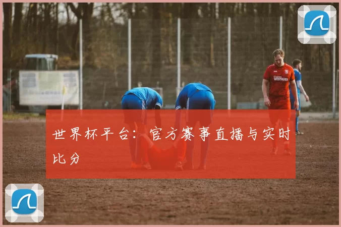 世界杯平台:官方赛事直播与实时比分
