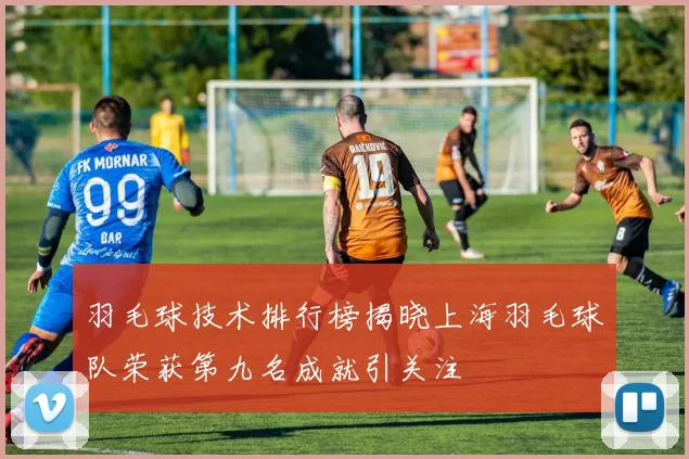 羽毛球技术排行榜揭晓上海羽毛球队荣获第九名成就引关注