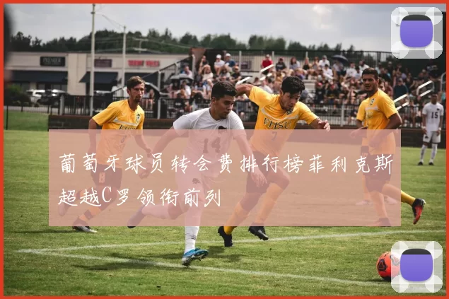葡萄牙球员转会费排行榜菲利克斯超越C罗领衔前列