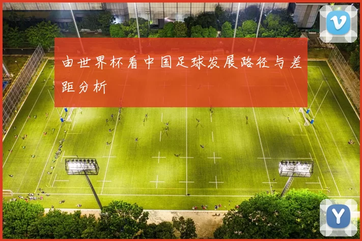 由世界杯看中国足球发展路径与差距分析