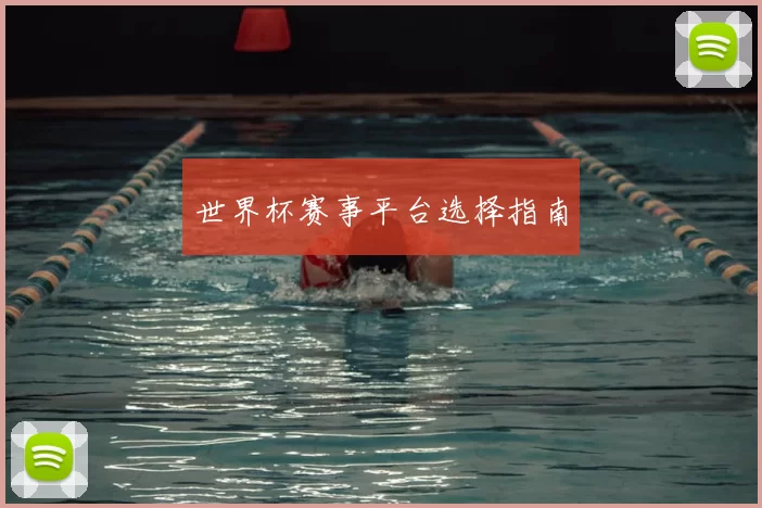 世界杯赛事平台选择指南