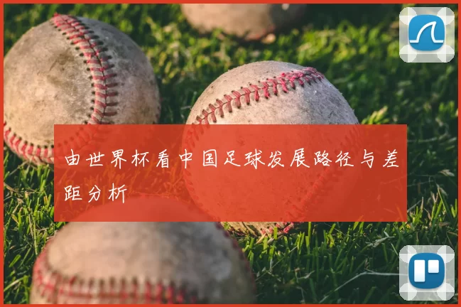由世界杯看中国足球发展路径与差距分析